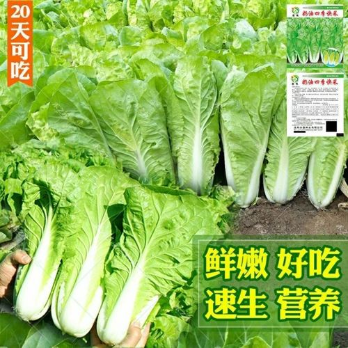 如何清洗聚氨酯胶粘剂，老师傅教你避开常见坑